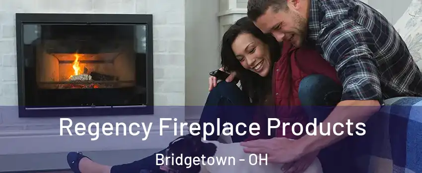  Regency Fireplace Products Bridgetown - OH