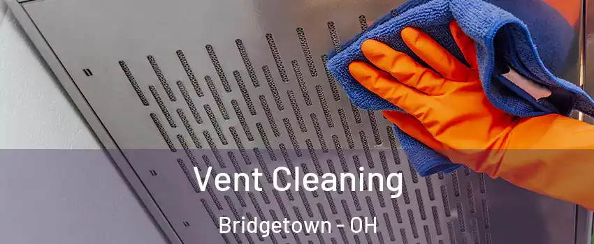  Vent Cleaning Bridgetown - OH