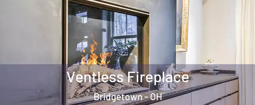  Ventless Fireplace Bridgetown - OH