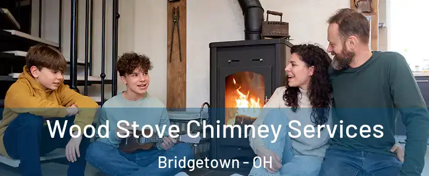  Wood Stove Chimney Services Bridgetown - OH